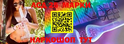 гидропоника Кулебаки