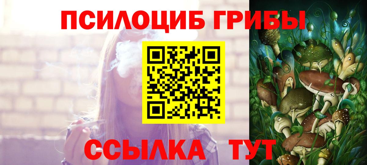 Галлюциногенные грибы Psilocybe Каменск-Уральский