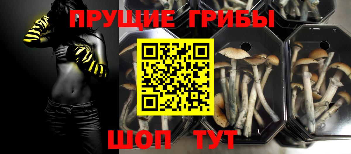 Псилоцибиновые грибы ЛСД  где можно купить   Каменск-Уральский  Вход с VPN  Псилоцибиновые грибы Cubensis 